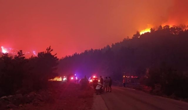 Silifke Orman Yangınında Son Durum: Karadan Müdahale Devam Ediyor