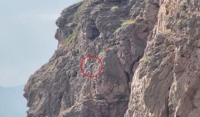 Antalya’da 30 Metrelik Kayalıklarda Mahsur Sandılar, İşin Aslı Şaşırttı!