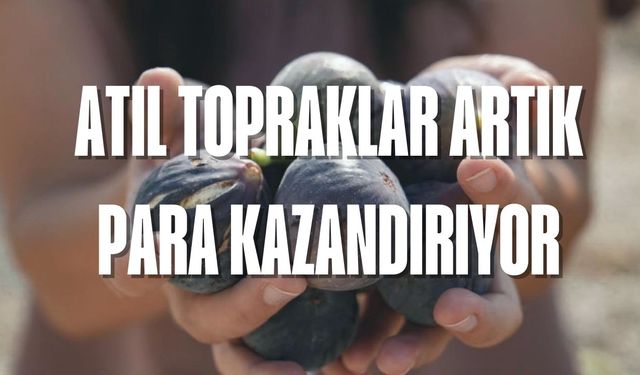 Mersin’de Fidan Dağıtımı Gelir Sağlıyor: Bu Projeye Katılan Üretici Mutlu