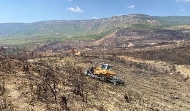 Gülnar'da yanan ormanlık alanlarda ağaçlandırma çalışmalarına başlandı