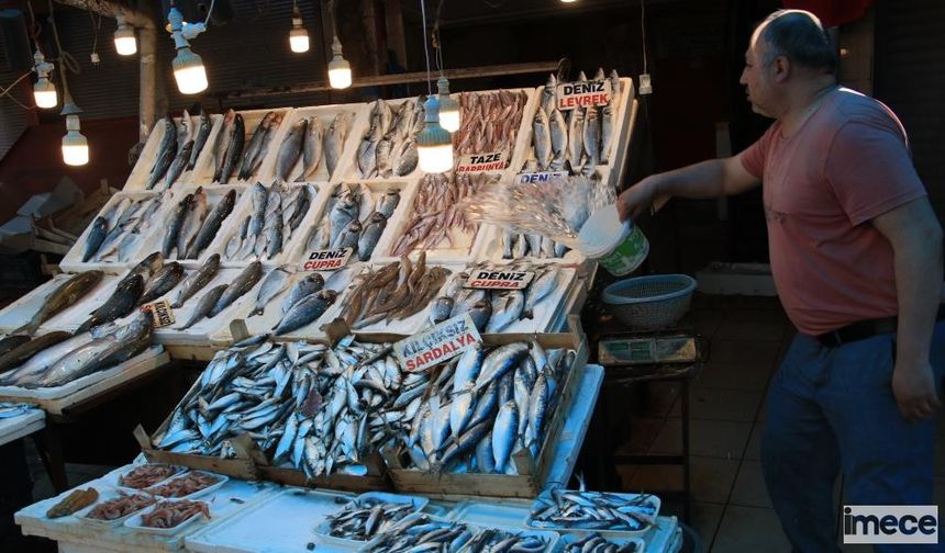 Balıkçılar ‘Vatandaş Uygun Fiyata Balık Yesin’ Diyerek İhracata Kısıtlama İstedi