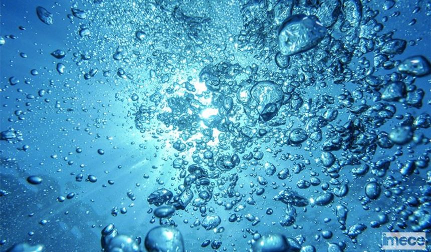 Su Tüketiminin Önemi: Sağlık, Ekoloji ve Ekonomiye Etkileri