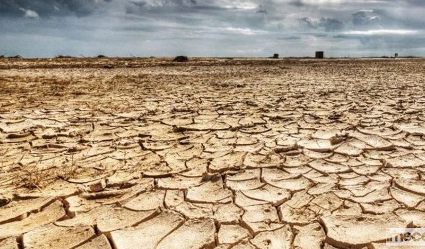 İklim Değişikliği Trakya'da Kuraklığa Neden Olabilir