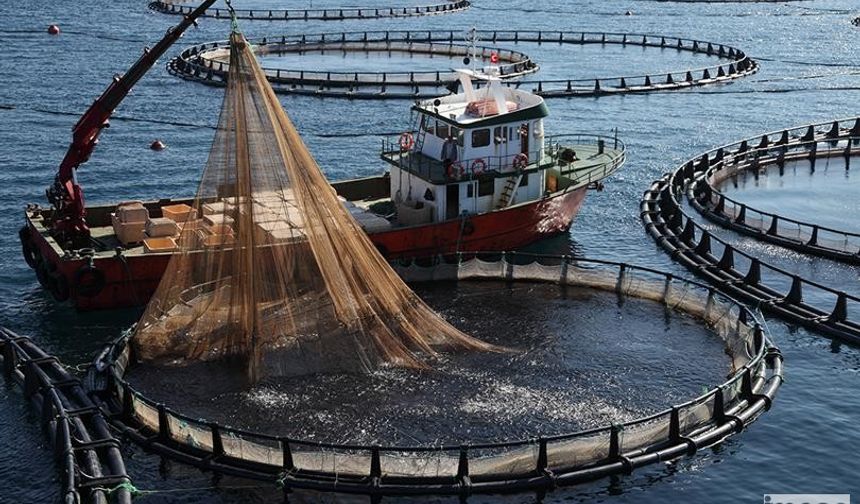 Balık Çiftliklerinin Aydıncık’a Taşınma Planına İtiraz Buluşması