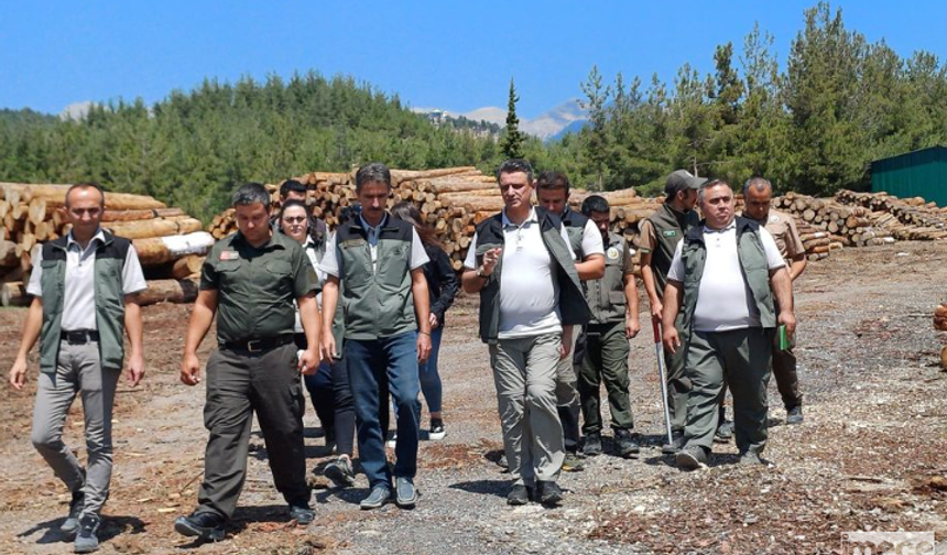 Rifat Ataş, Çamlıyayla'da İncelemelerde Bulundu