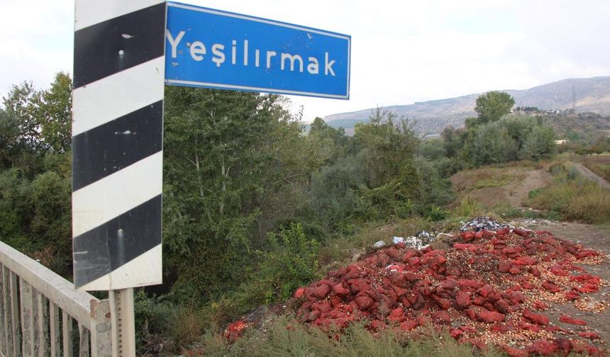 Yeşilırmak Nehri'nin Kıyısına Çuvallar Dolusu Soğan ve Patlıcan Döküldü