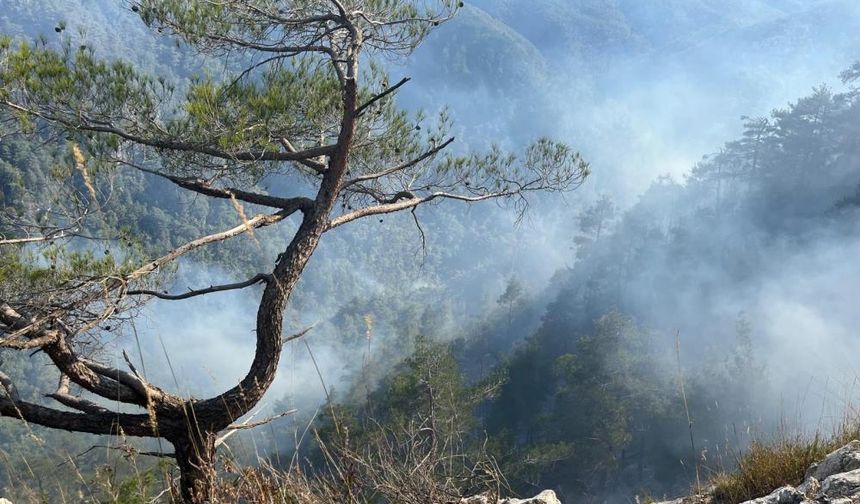 Orman Yangını 28. Saatte Kontrol Altına Alındı