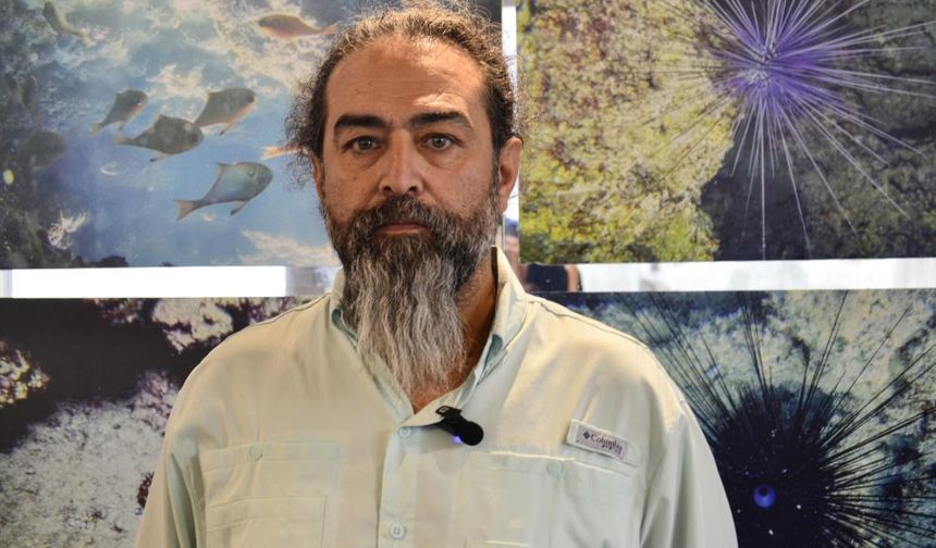 Doğu Akdeniz'de Deniz Çayırlarının Son Kalesi: Aydıncık