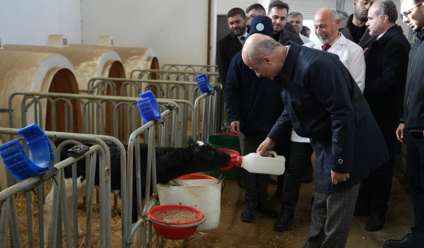 YÖK Başkanı Özvar: "Anadolu’daki Üniversitelerimizi Destekleyeceğiz"