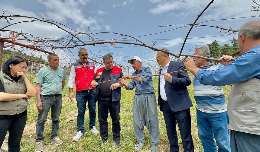 Mersin’de Çiftçiyi Vuran Doğa Felaketi