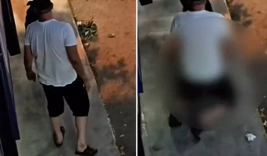 İstanbul'da Skandal Görüntü: Köpeğe Cinsel Saldırı!
