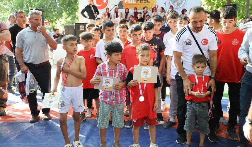 Karacaoğlan Kayısı Kültür ve Sanat Festivali Sona Erdi