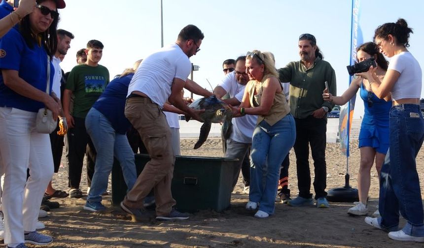 Uydu Takipli 'Atlas' Kaplumbağası Denize Bırakıldı