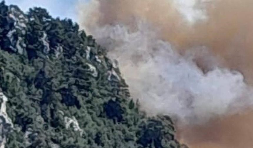 Bozyazı’da Orman Yangını! Ekipler Havadan ve Karadan Müdahale Ediyor