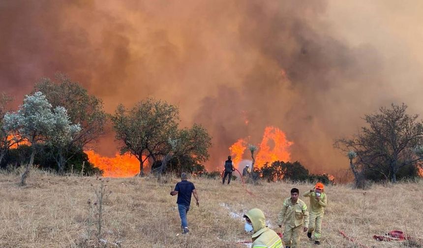 Aydın’da Hafta Sonu Yangın Alarmı: 11 Ayrı Noktada Alevlerle Mücadele
