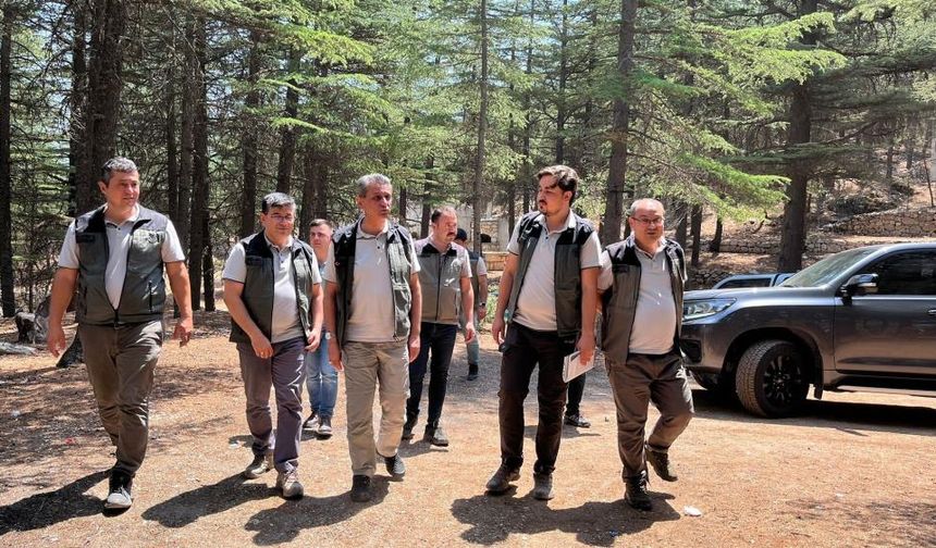Gülnar’da Ormancılık Çalışmalarına Yerinde İnceleme