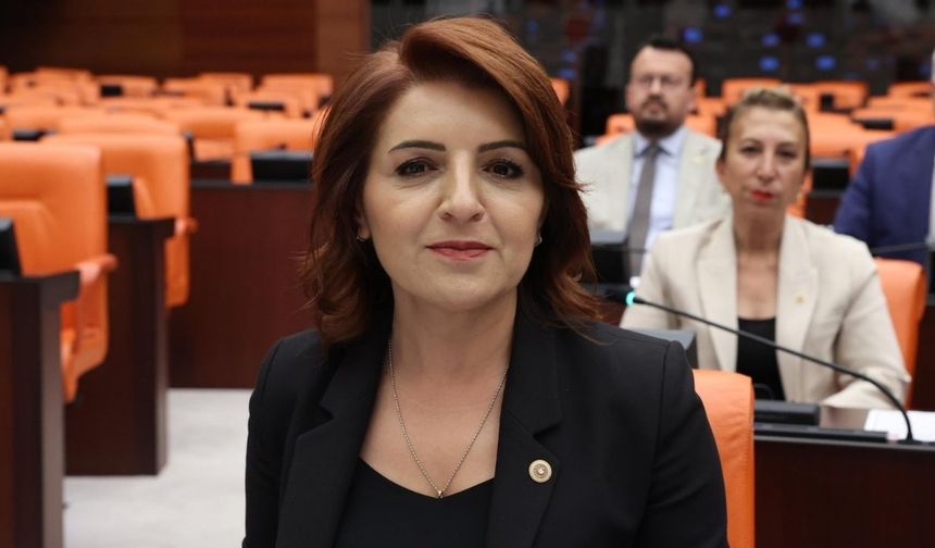CHP'li Kış: “AKP Halkı Değil Sermayeyi Memnun Etti”