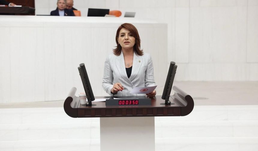 Mecliste Mersin’in Sesi Oldu: Gülcan Kış Mersin'in Tüm Sorunlarını Tek Tek Gündeme Taşıdı