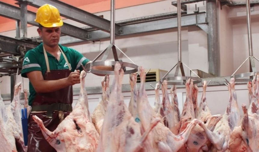 Mersin'de Gıda Güvenliğinde Kritik Soru: Kesimhanede Neler Yapılıyor?