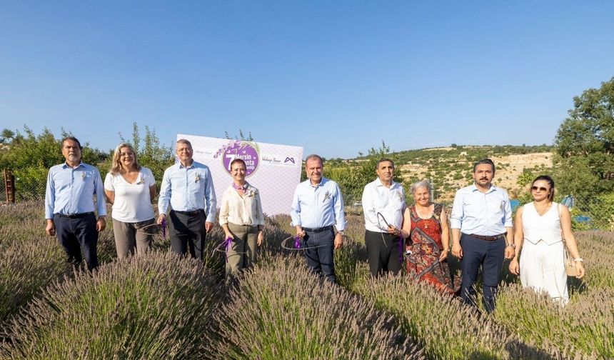 Kadınlar Üretiyor, Köyler Canlanıyor: Mersin’de Lavanta Şenliği İlgi Odağı Oldu