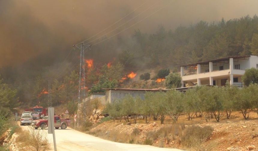 12 Hava Aracı, 110 Araç, Yüzlerce Görevli: Silifke'deki Yangın İçin Seferberlik İlanı