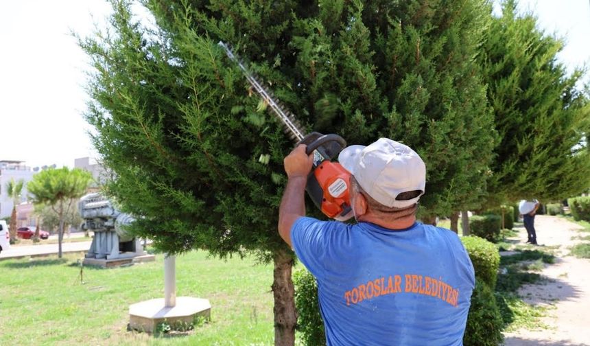 Mersin Toroslar’da Yeşil Dönüşüm: Parklar Temizleniyor, Doğa Canlanıyor