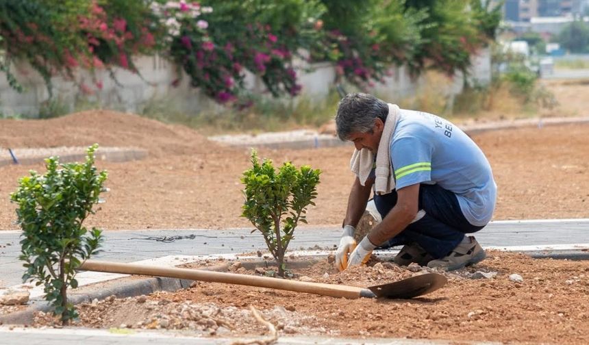 2025’te Yenişehir’i Değiştirecek Büyük Yeşil Hamle
