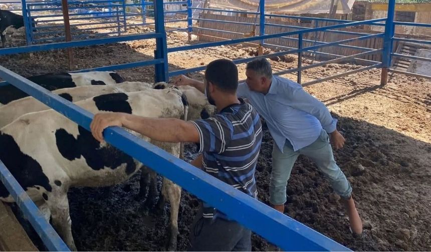 Her Aşılama Bir Gelecek Yatırımı: Mersin’de Ekipler Sahada