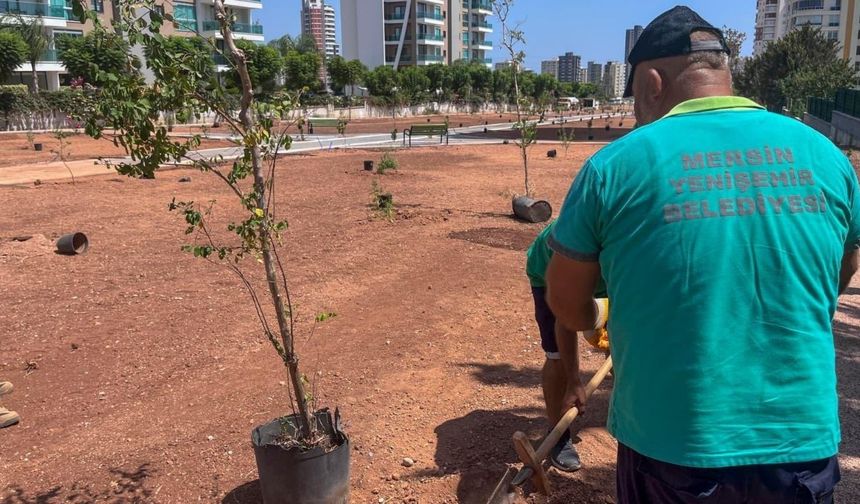 Bu Kutlama Diğerlerinden Farklı: Yenişehir Belediyesinden Yeni Uygulama