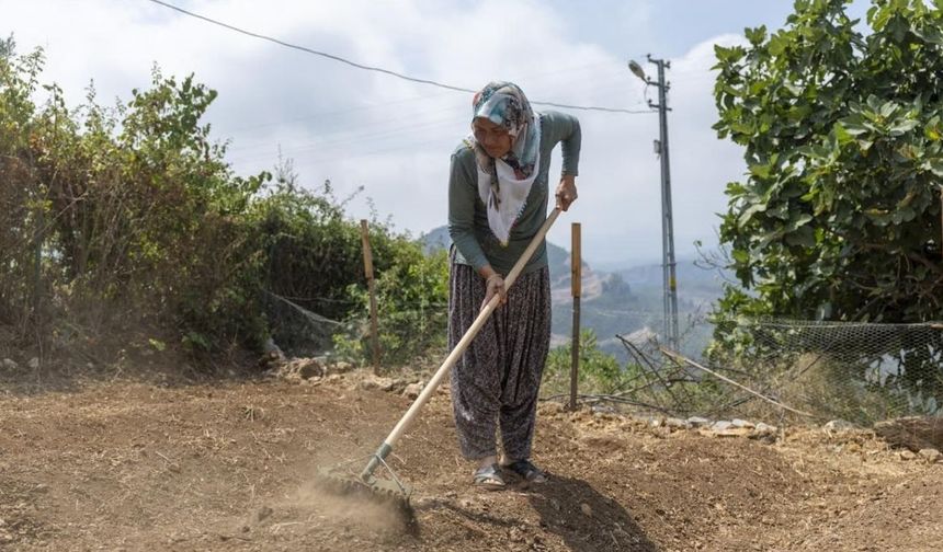 Köylerde Yeni Umut: Ne Su İstiyor Ne İlaç… Getirisi Dudak Uçuklatıyor
