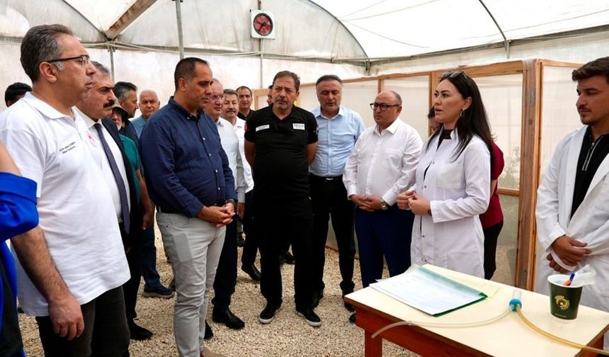 Akdeniz Meyve Sineğine Karşı Erdemli’de Biyolojik Mücadele