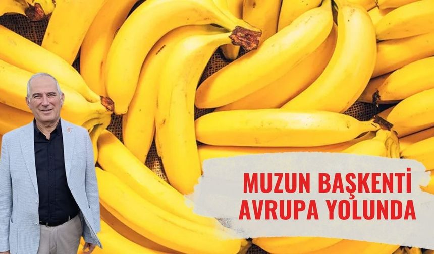 Başkan Deniz’den Avrupa Çıkarması: Anamur Tarımda Dünyaya Örnek Oluyor!
