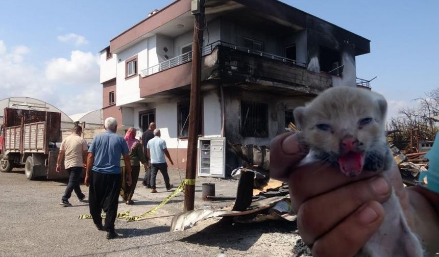 Düğün Gününde Felaket Yaşadılar, Erdemli'de Enkazdan Minik Bir Can Çıktı