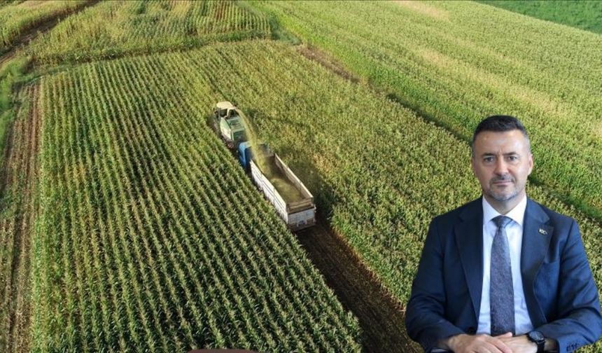 Tarımda Belirsizlik Son Buluyor: Mersin Üreticisine Ödeme Müjdesi
