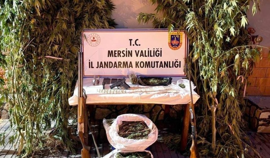 Toroslar’da Şok Baskın: Uyuşturucu Üreticileri Suç Üstü Yakalandı