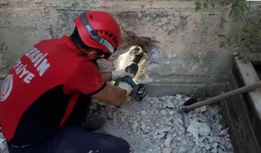 Mersin’de Yavru Kediyi Kurtarmak İçin Saatler Süren Nefes Kesen Çaba!