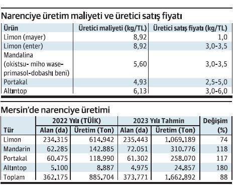 NARENCİYEDE KAFA KARIŞTIRAN TABLO!