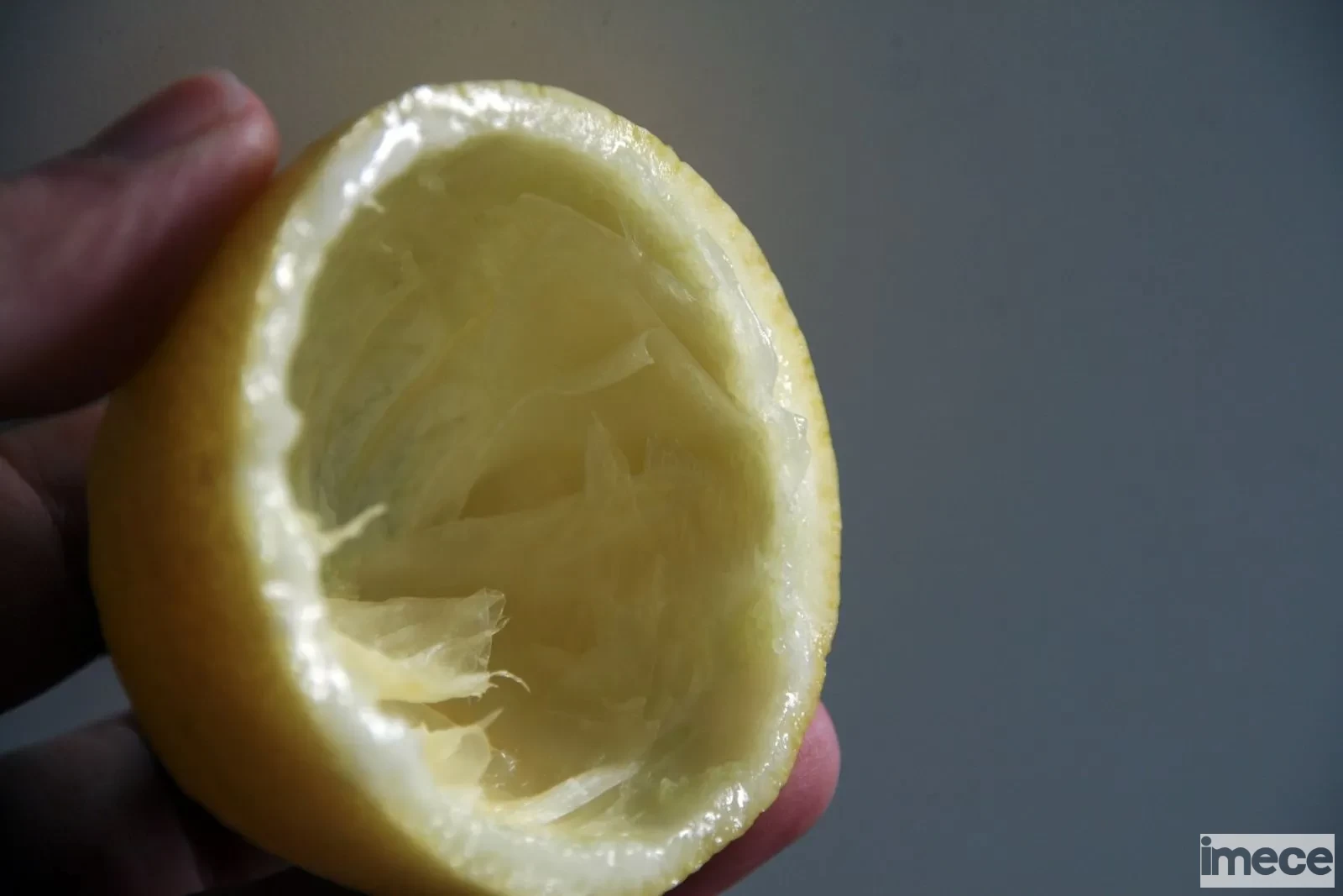 limon-kabugu-y2ld