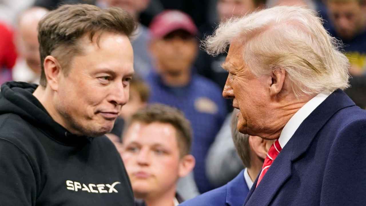 Trump Elon Musk