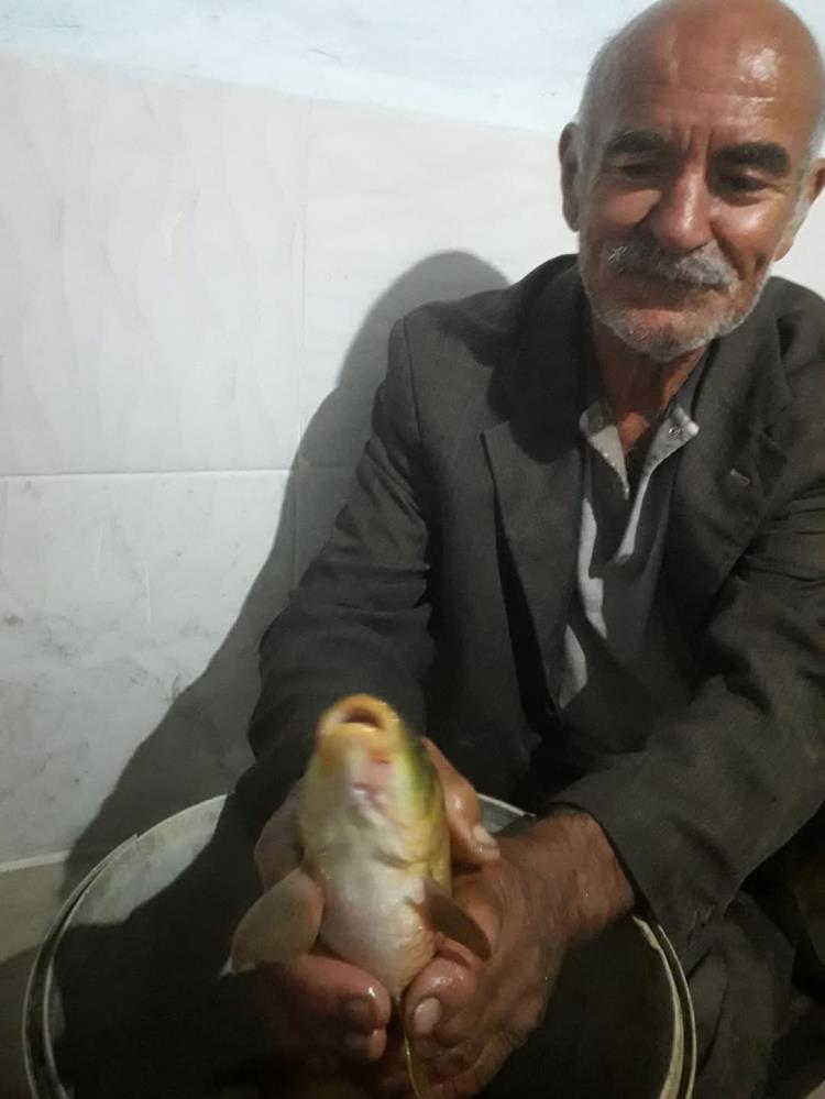 Metin Ozcan Hayatini Kaybetti