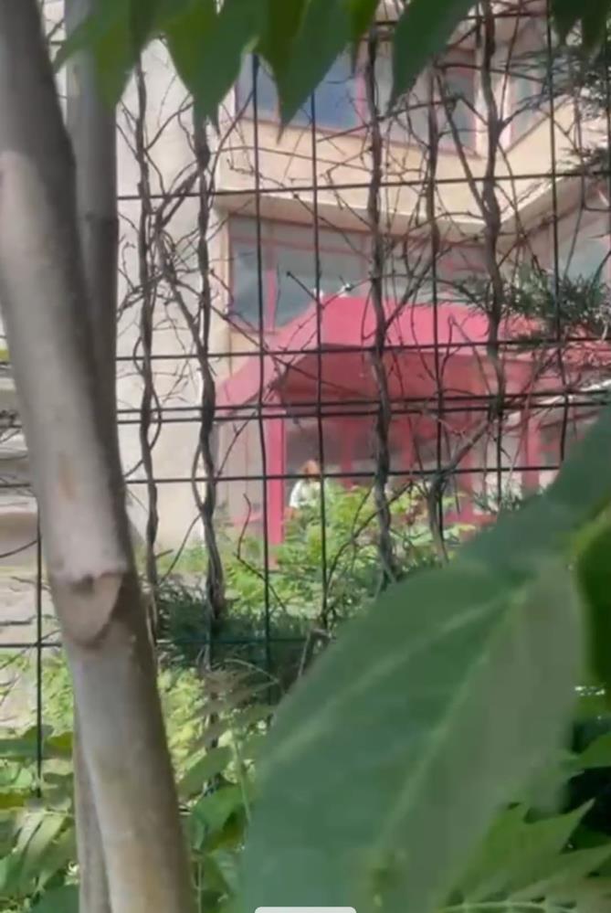 Istanbul Pendik Kendini Yakan Kadin