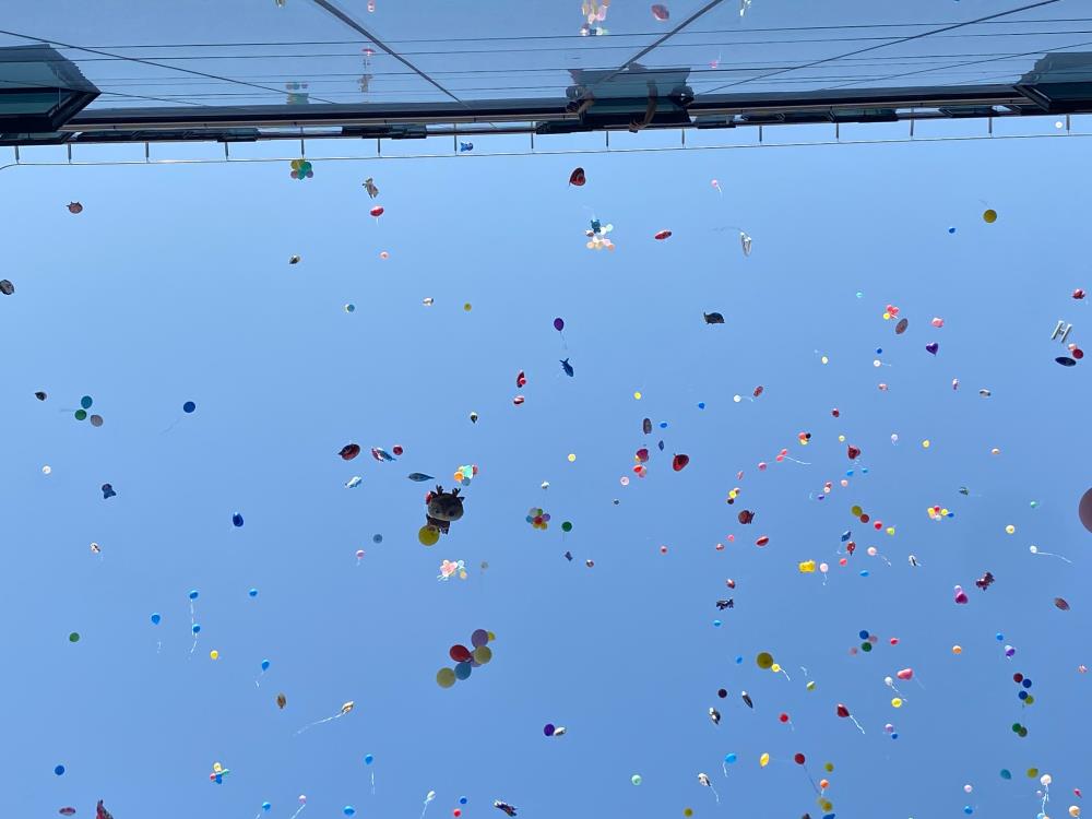 Izmir Balon Erhan