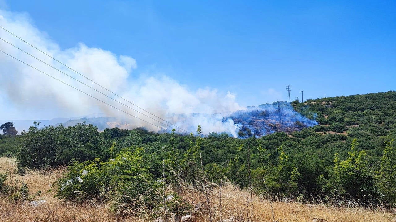 Bursa Nin 2 Ilcesinde Orman Yangini