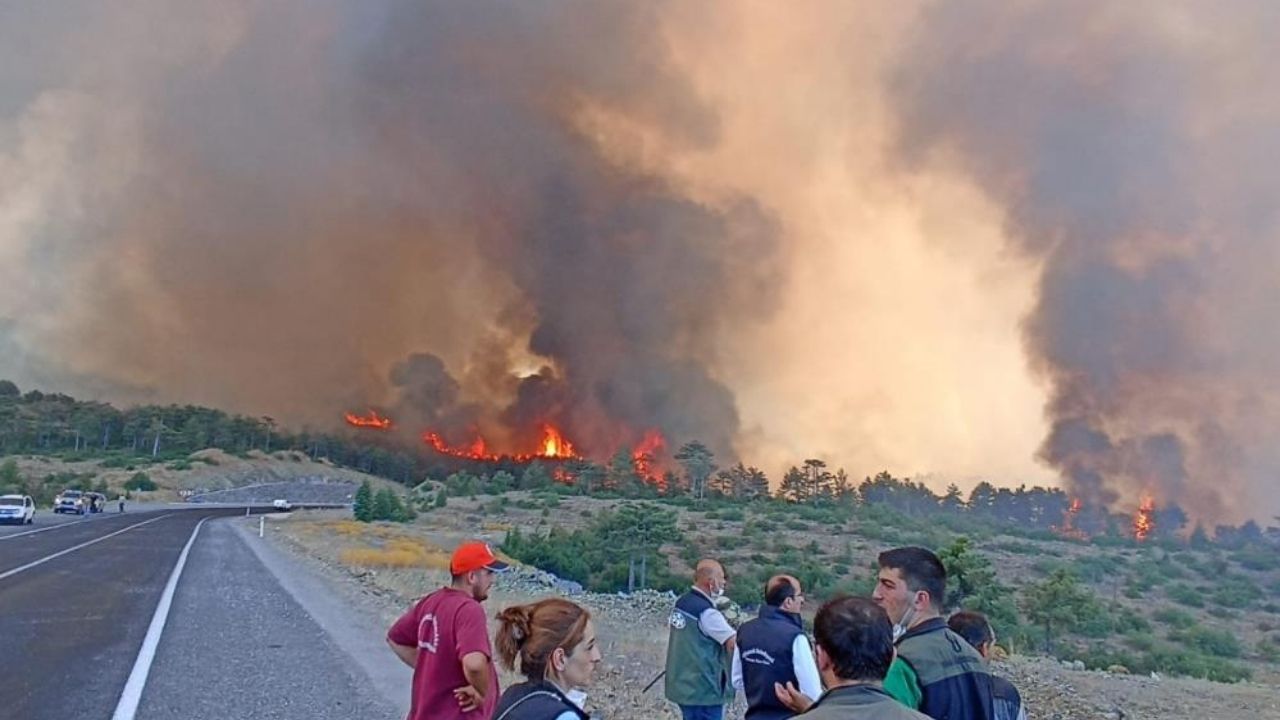 Bursa Orman Yangini Baskan Aciklama