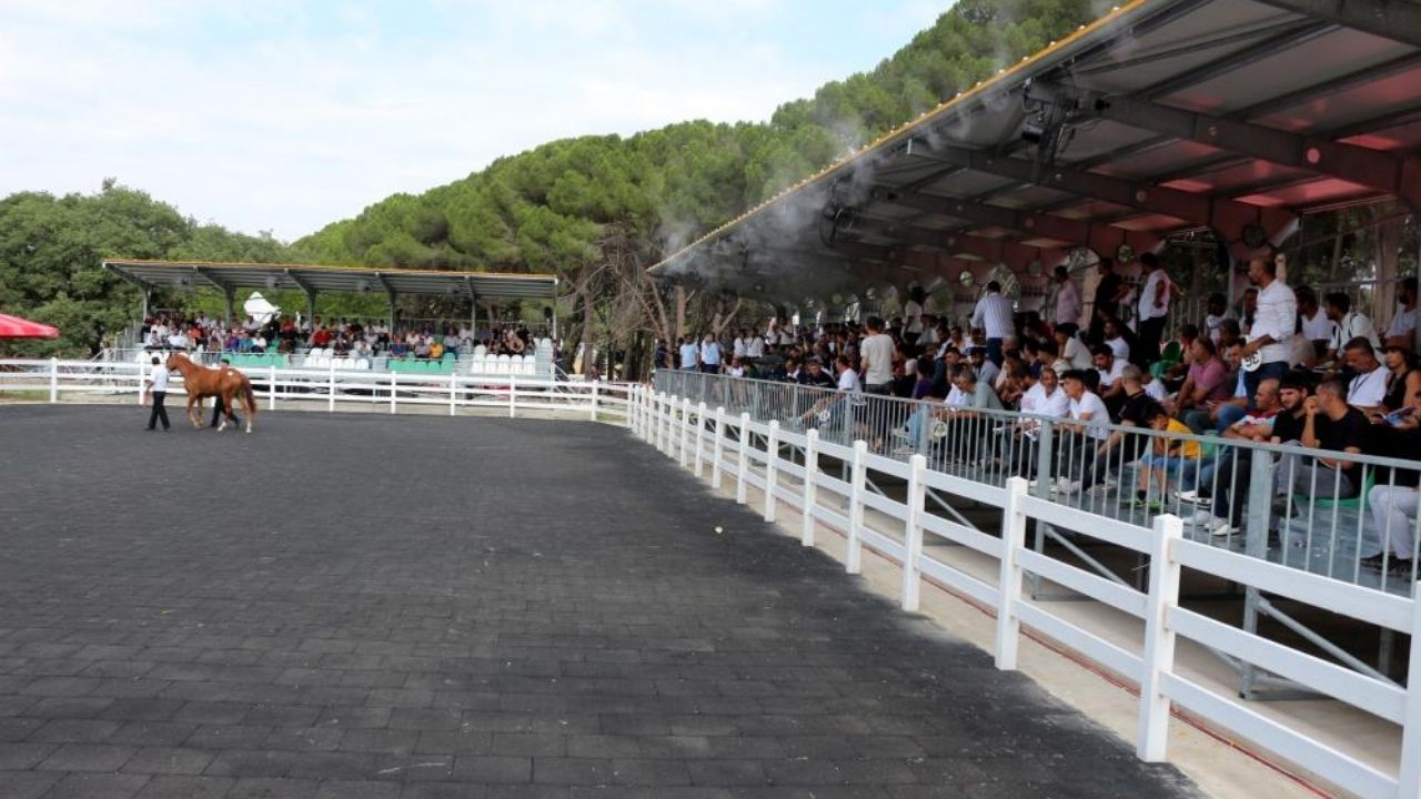 Bursa Tay Satisi 1