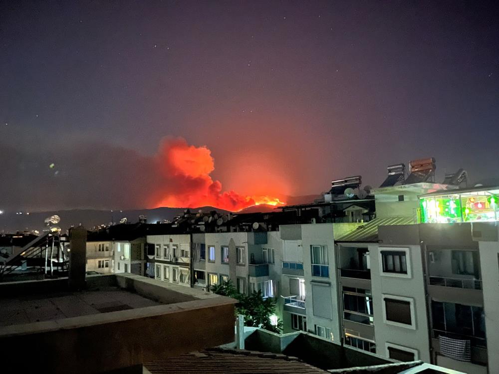 Izmir Orman Yangini 4