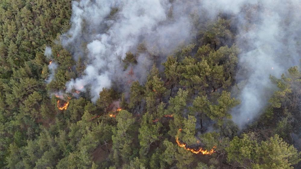 Karabuk Orman Yanginiyla Mucadele