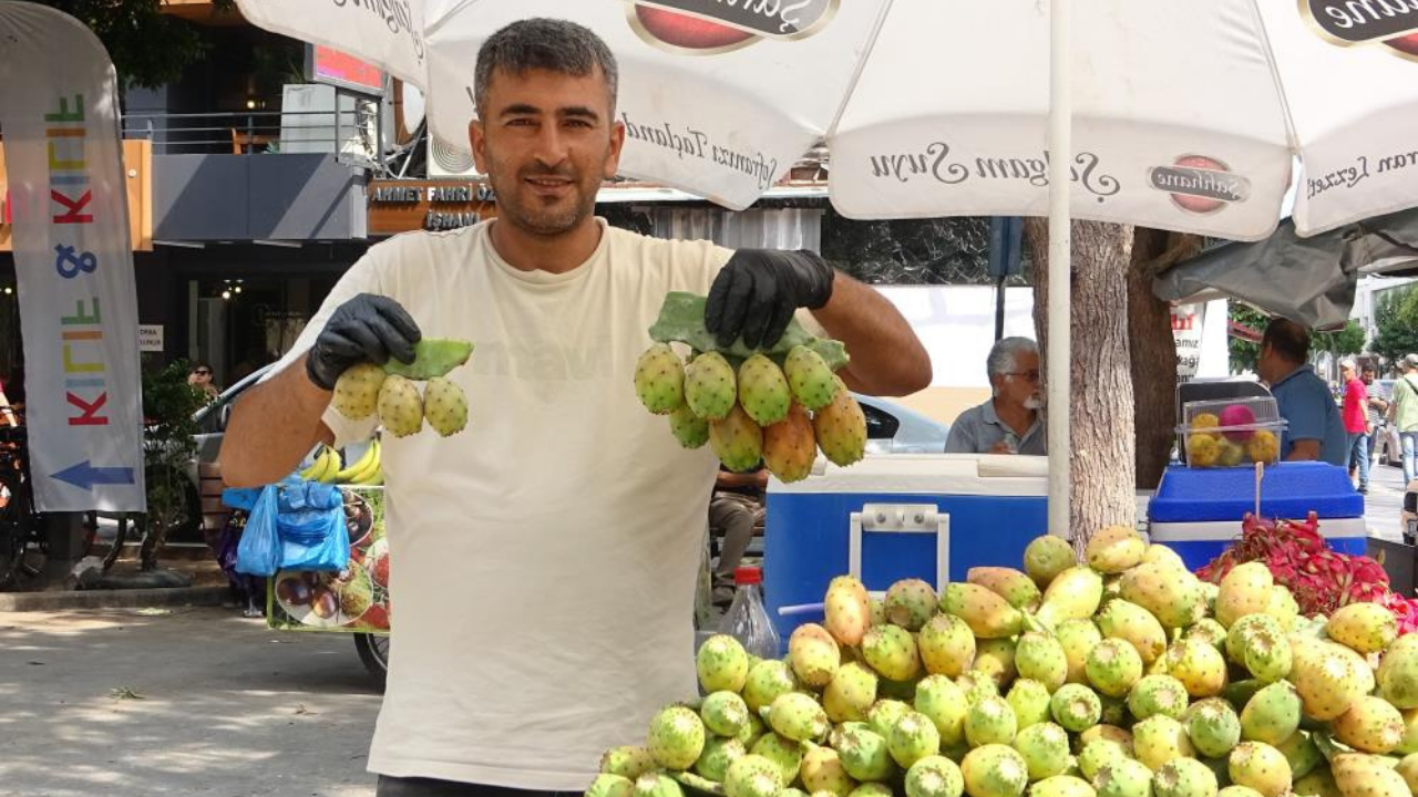 Mersin Dikenli Incir 5
