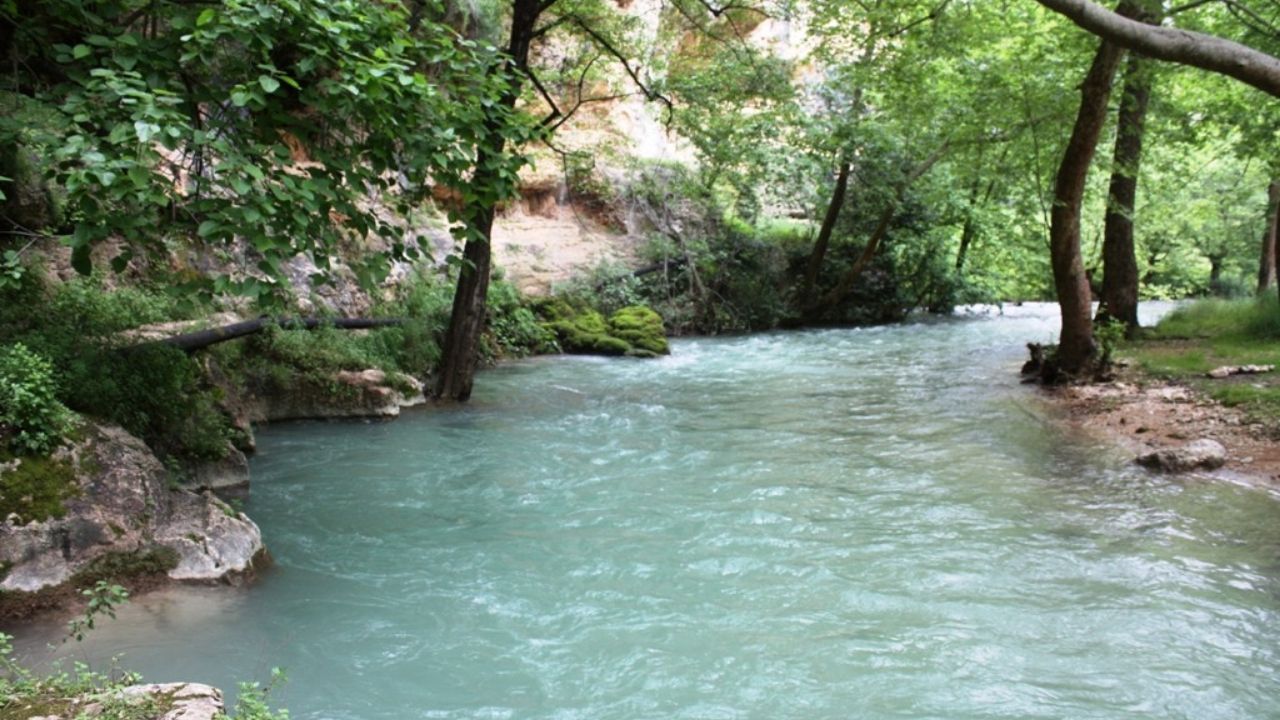 Mersin Kaplicalari