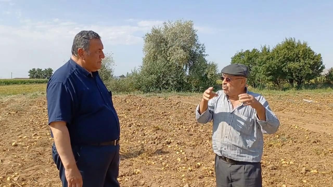 Omer Fethi Gurer Patates Ureticisi